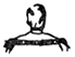 Normal Shoulders